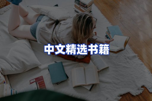 中文精选书籍